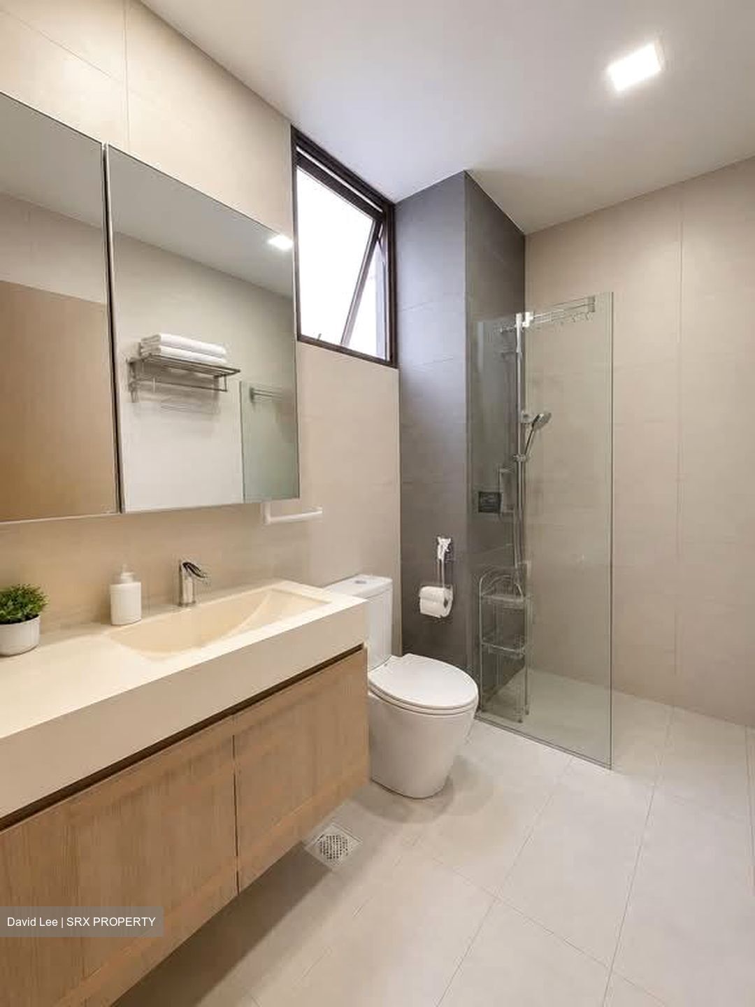 Parc Vera (D19), Condominium #595073521